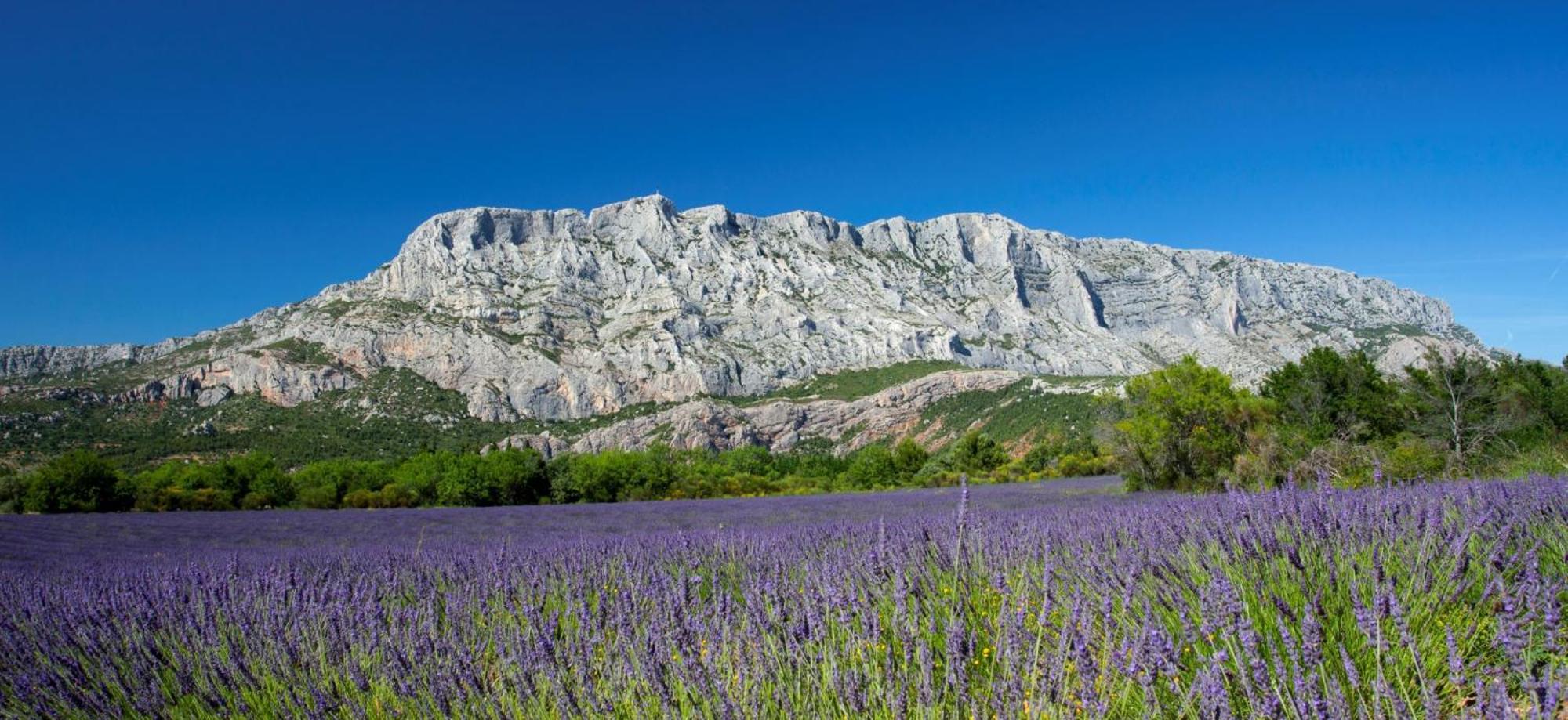 Cafi - Sud Passion * Calme * Linge Hotelier * Fibre * Marseille Exterior photo